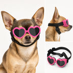 Classic Pet Goggles