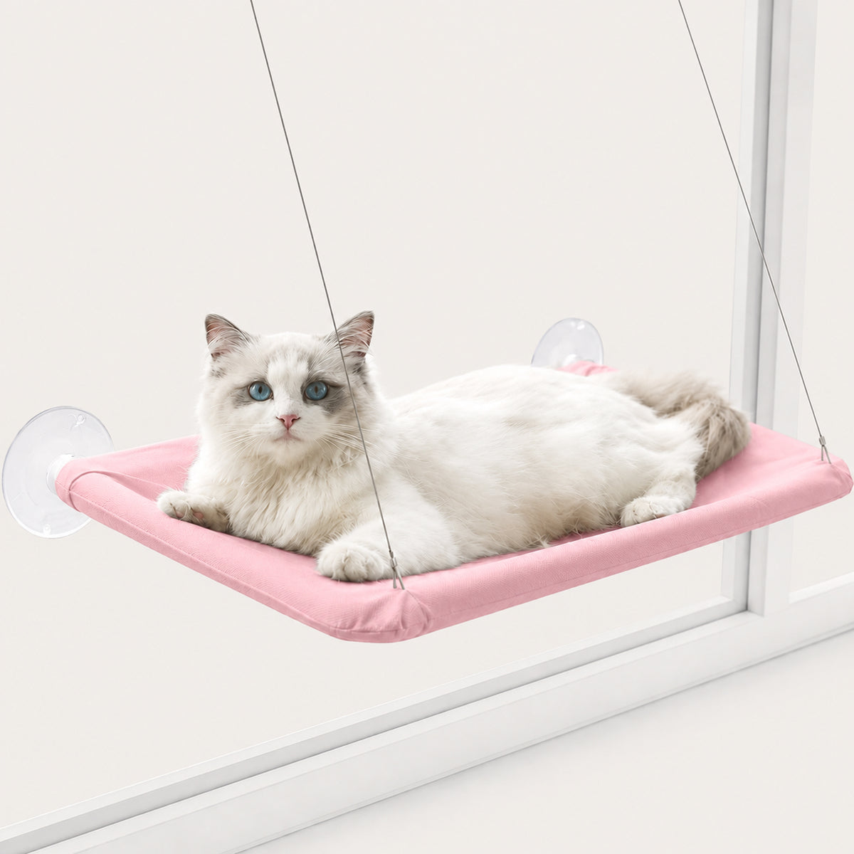 Window-Mounted Cat Hammock