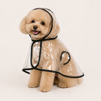 Transparent Dog Raincoat