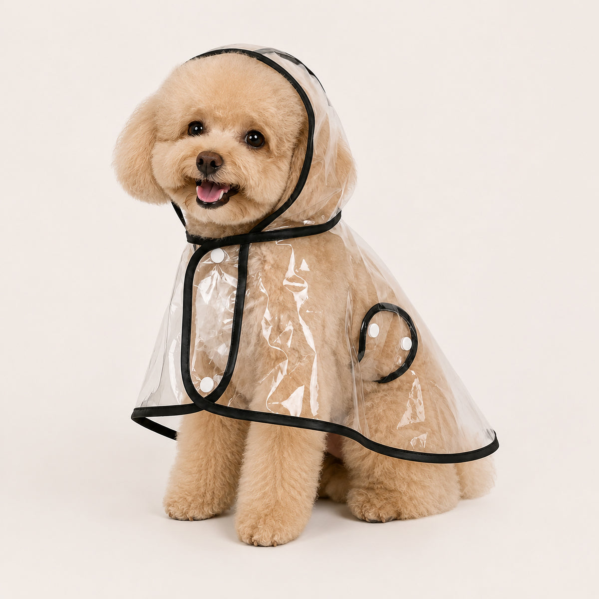 Transparent Dog Raincoat
