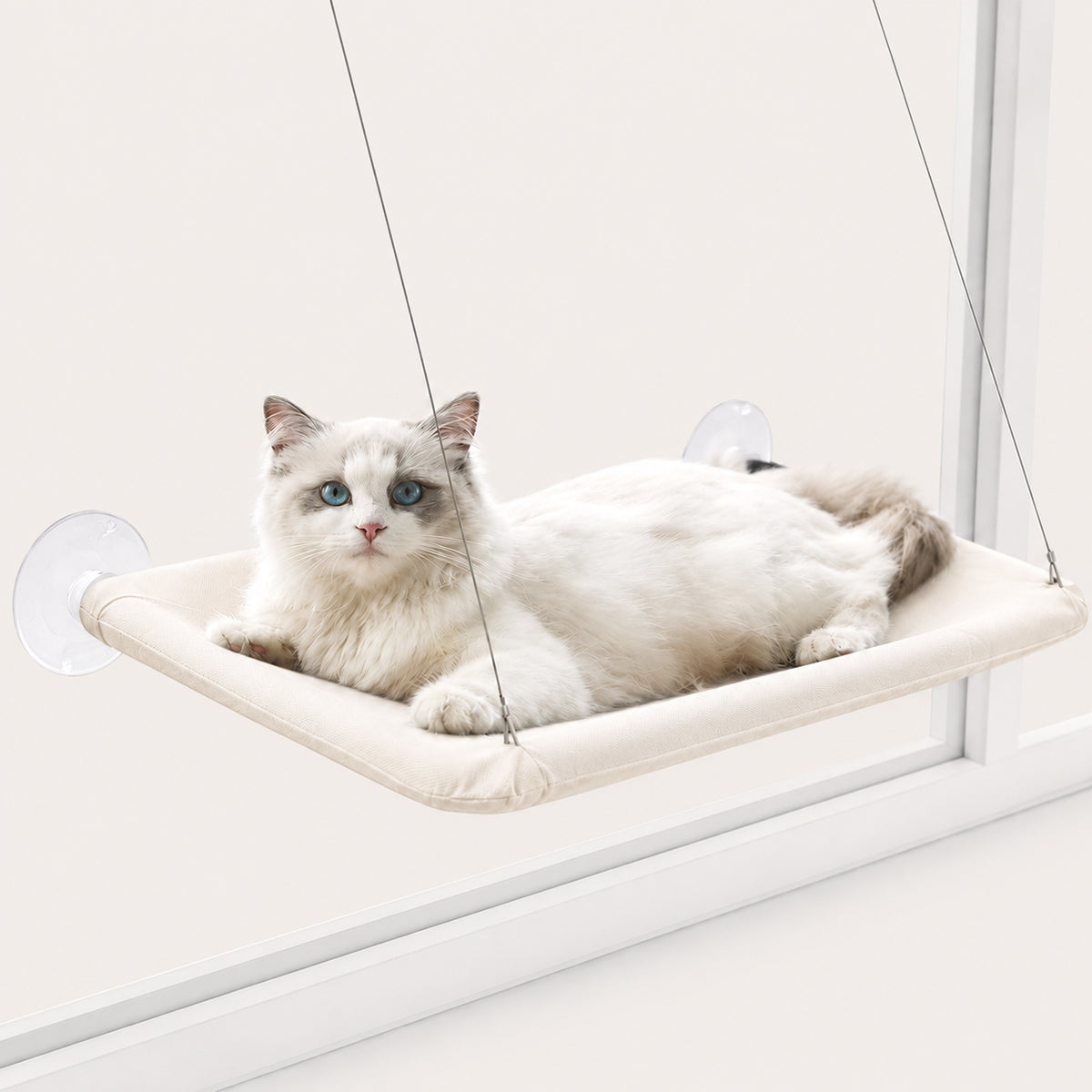 Window-Mounted Cat Hammock