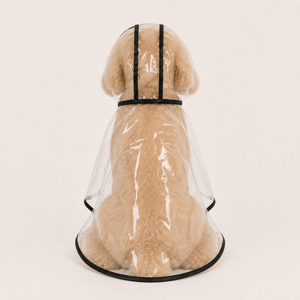 Transparent Dog Raincoat
