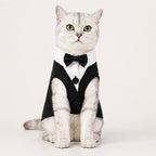 Classic Button Jacket for Dogs & Cats