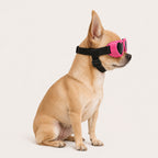 Classic Dog & Cat Goggles