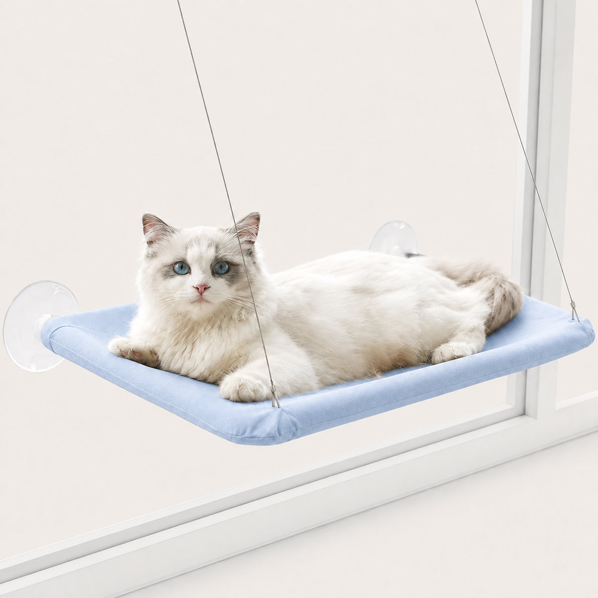Window-Mounted Cat Hammock