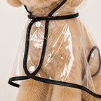Transparent Dog Raincoat
