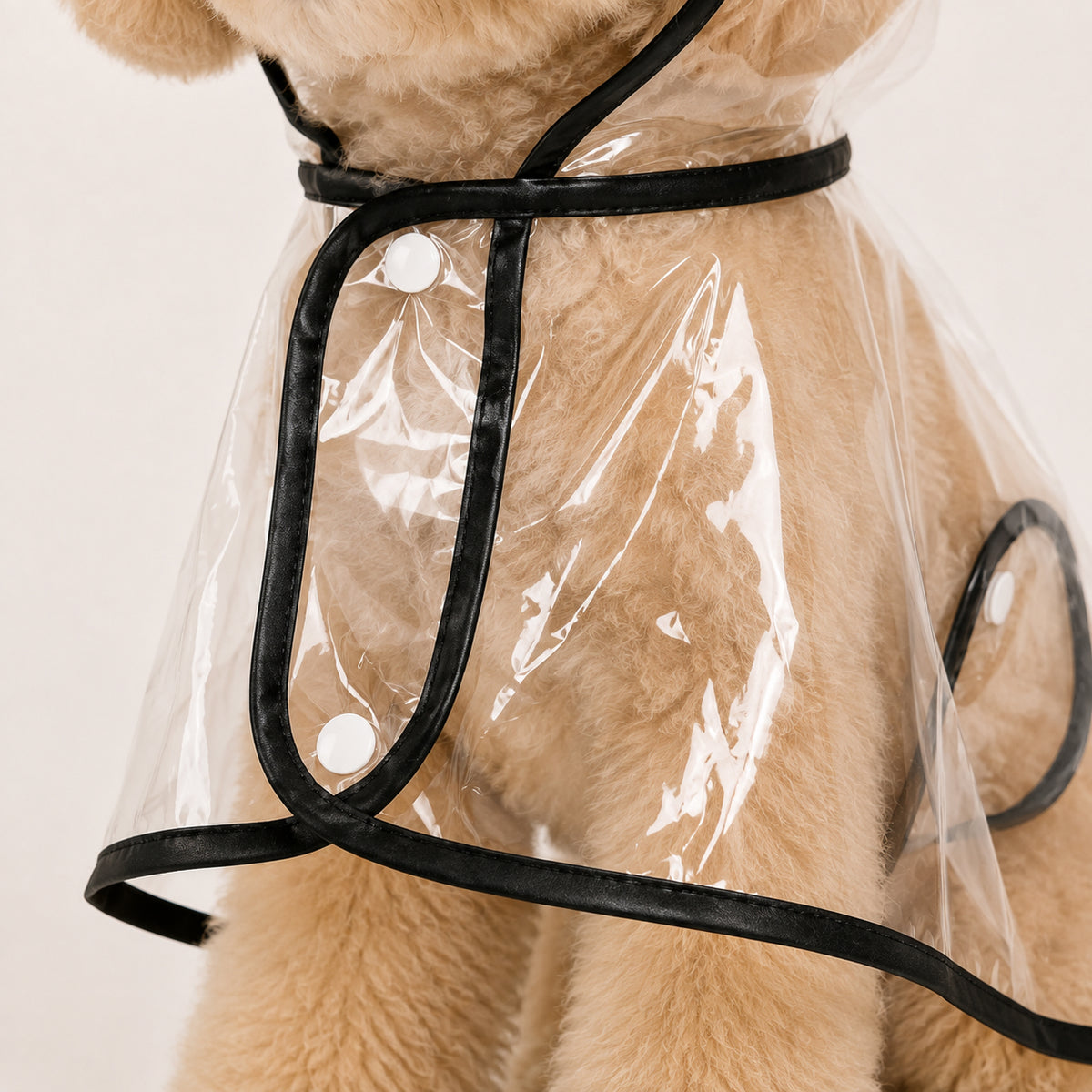 Transparent Dog Raincoat