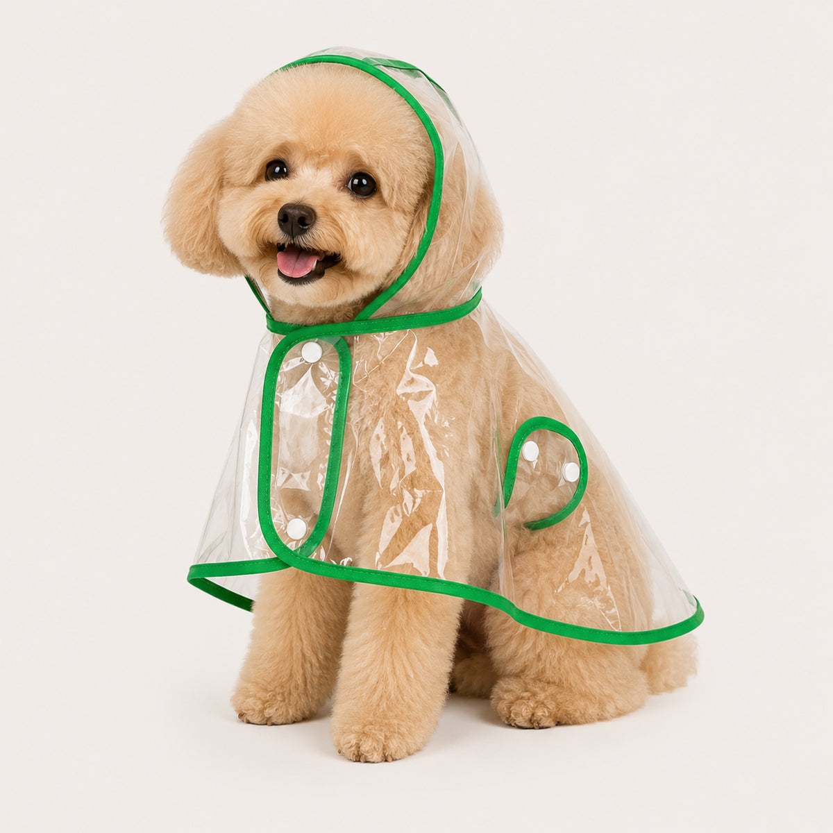 Transparent Dog Raincoat