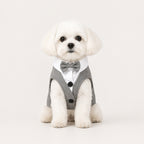 Classic Button Jacket for Dogs & Cats