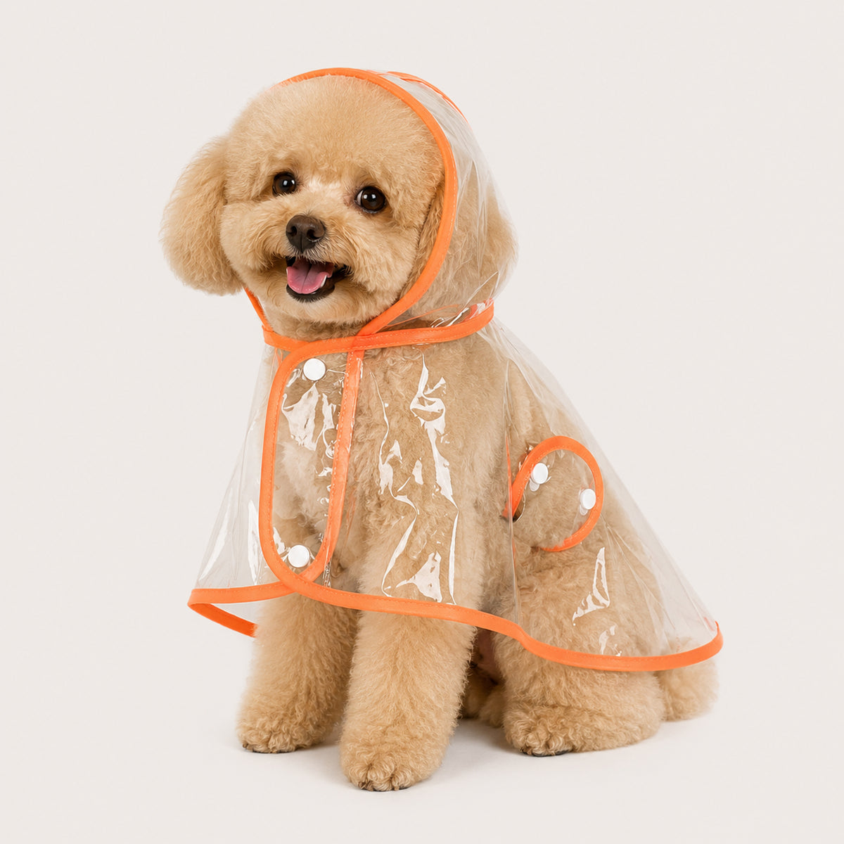 Transparent Dog Raincoat